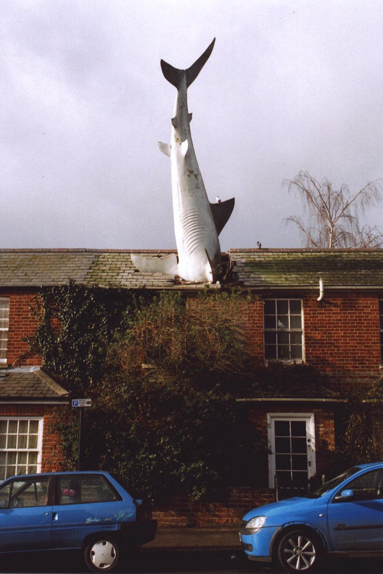 "Headingtonsharkfront" by Henry Flower at the English language Wikipedia. Licensed under CC BY-SA 3.0 via Commons